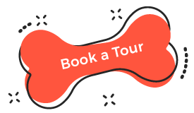 https://dealbeute.de/wp-content/uploads/2019/08/book_tour.png
